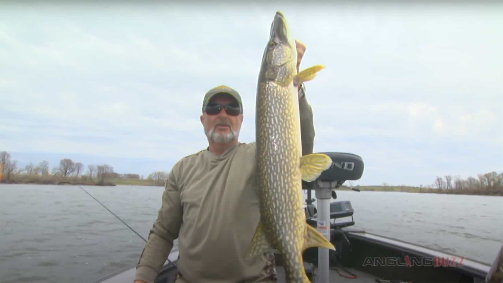 Spring Pike Spinnerbait Success, Northern Pike