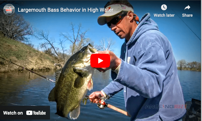 High Water Largemouth Bass