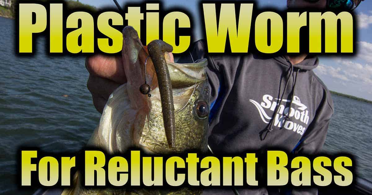 plastic worm largemouth bass