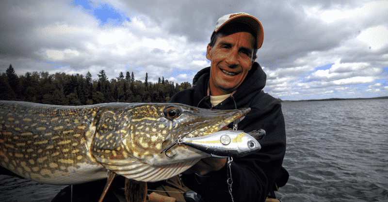Use Bigger Baits To Catch Bigger Pike