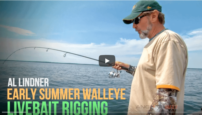 Walleye - Livebait Rigging for Early Summer Success