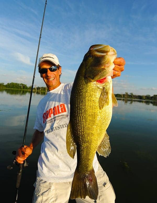 Largemouth bass are still biting on the surface