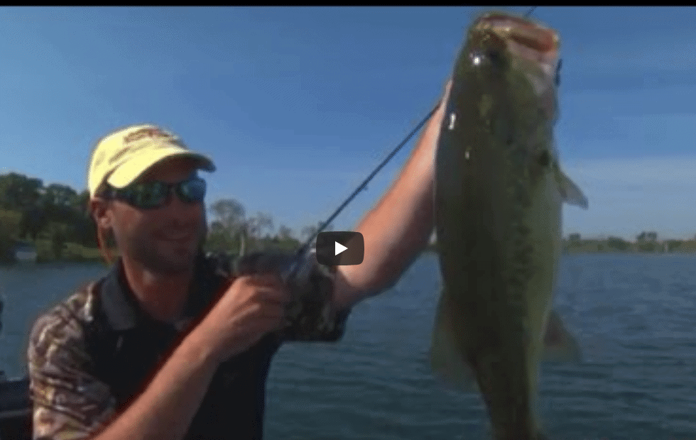 Screen Shot 2020 04 30 at 1.41.02 PM