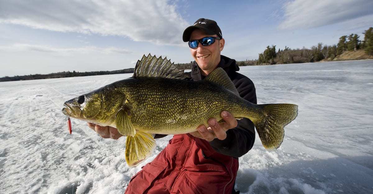 EARLY ICE WALLEYE LOCATIONS AND TACTICS - Rapala