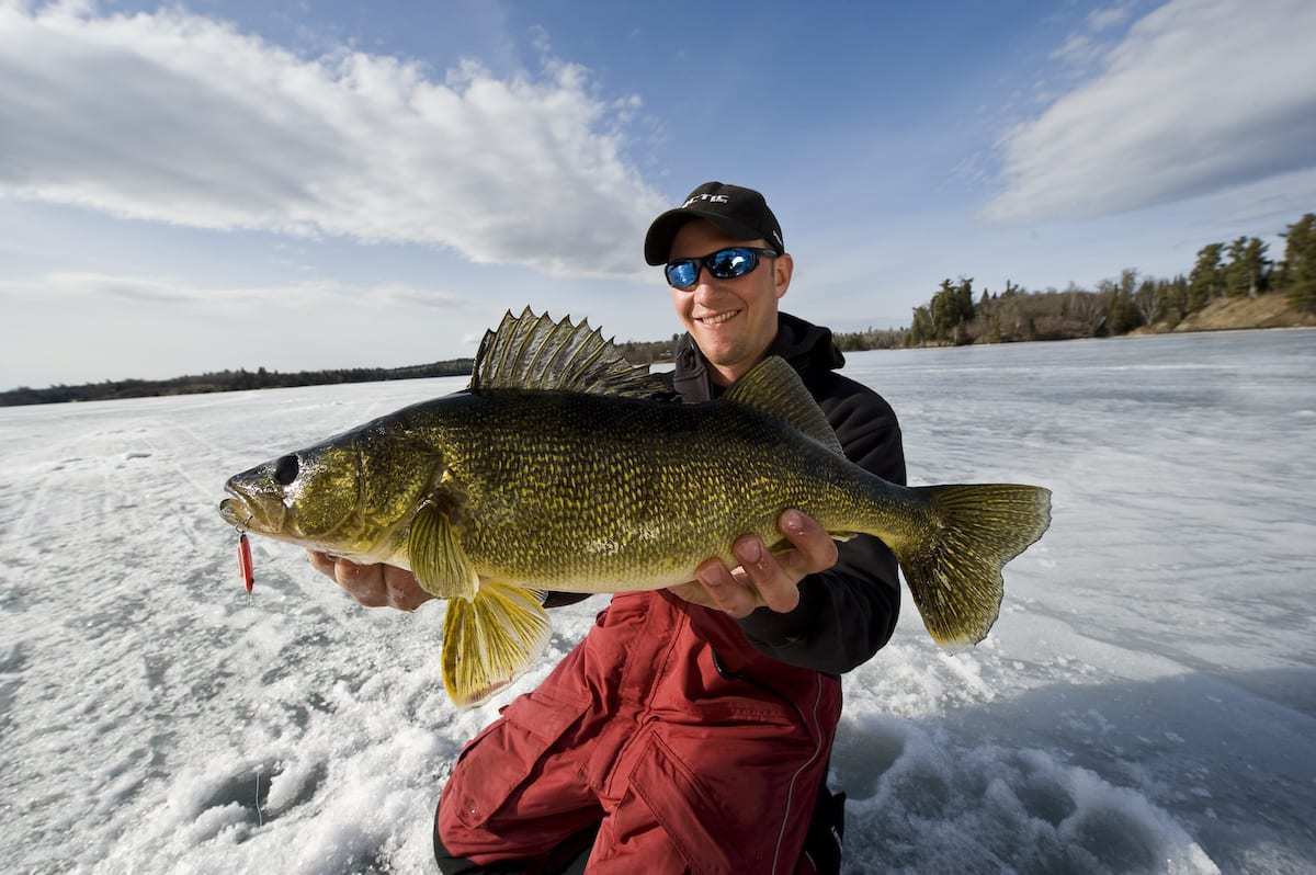 10 Best Ice Fishing Walleye Lures AnglingBuzz