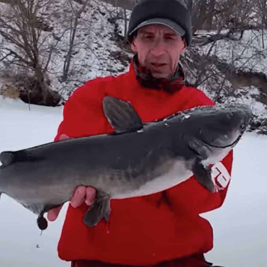 Ice Fishing Catfish: How To Catch Cats During The Winter