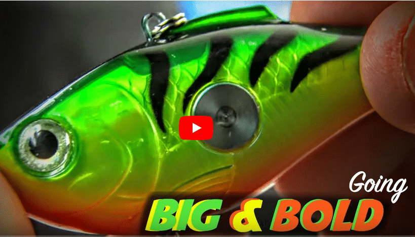 Screen Shot 2020 04 30 at 11.39.02 AM