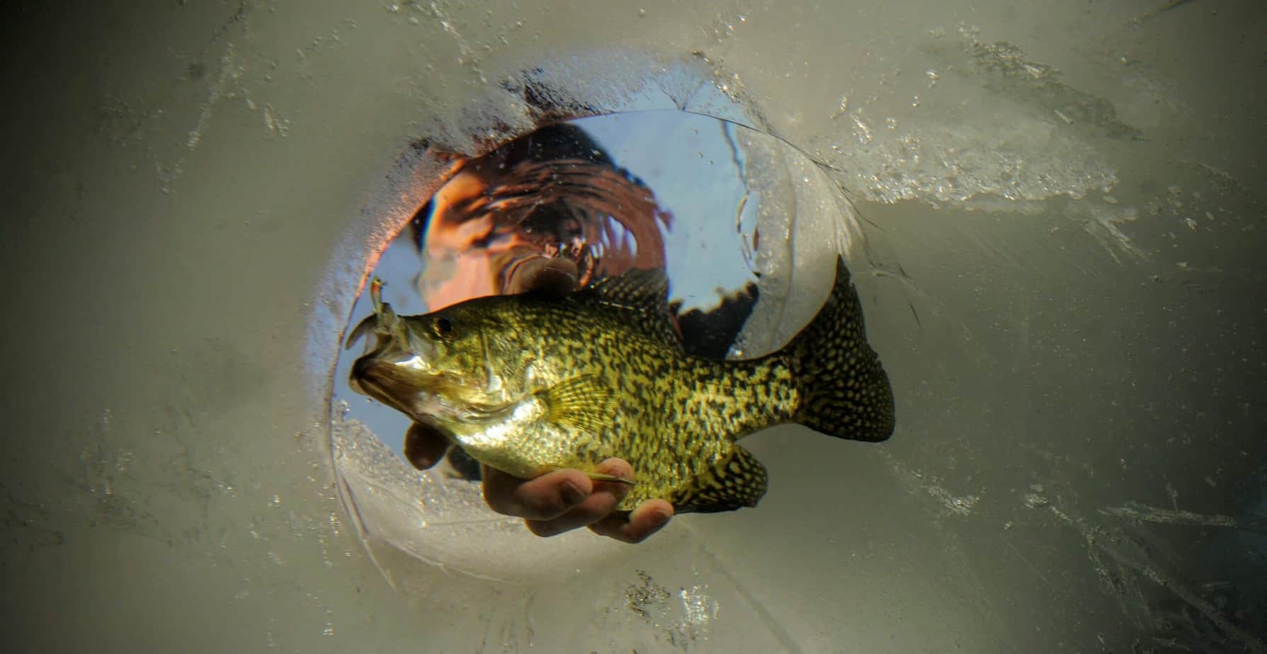 Ask The Pros: What's The Key To Finding Late Ice Panfish?