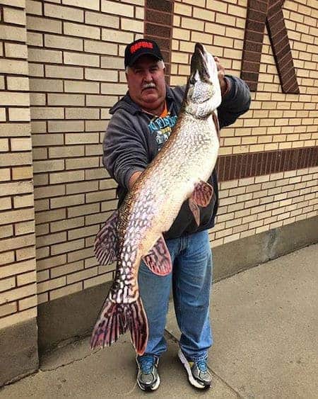 Shore Fishing Pike: Springtime Trophy Pike On Deadbait Rigs AnglingBuzz