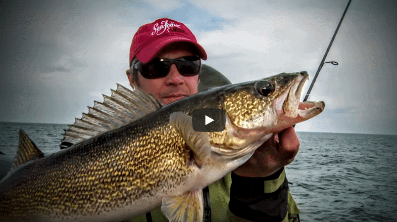 Match Baits and Retrieves to Walleye Aggressiveness