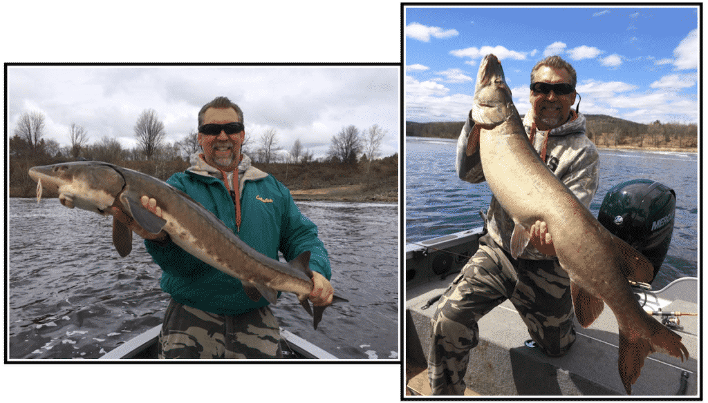 Central Wisconsin Musky and Sturgeon