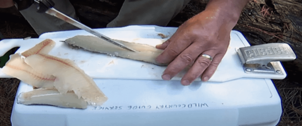 Northern Pike Y-Bones Removal -- Made Easy!