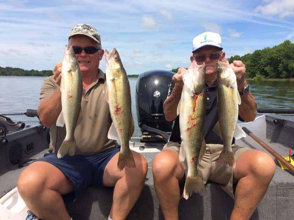 Wisconsin Walleyes