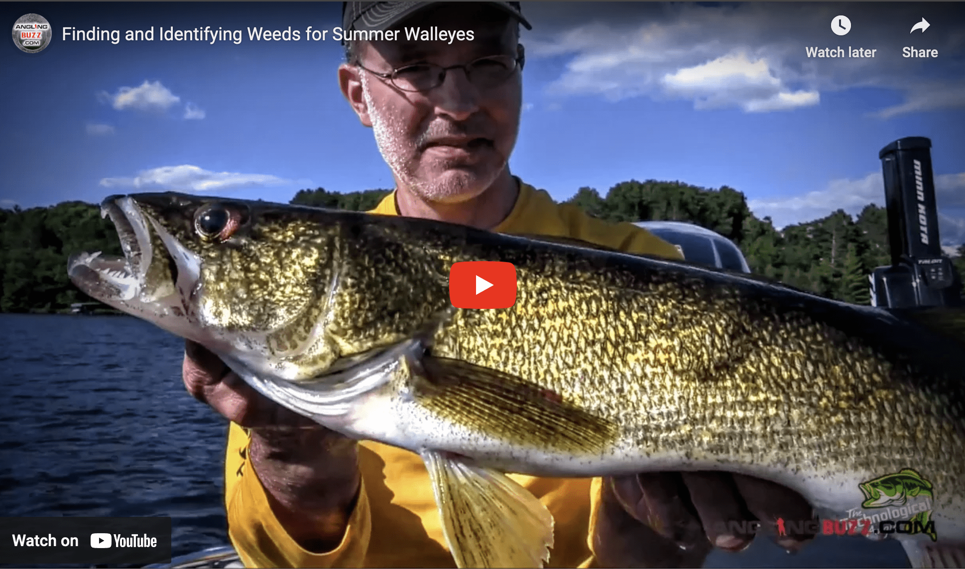 Weeds for Summer Walleyes