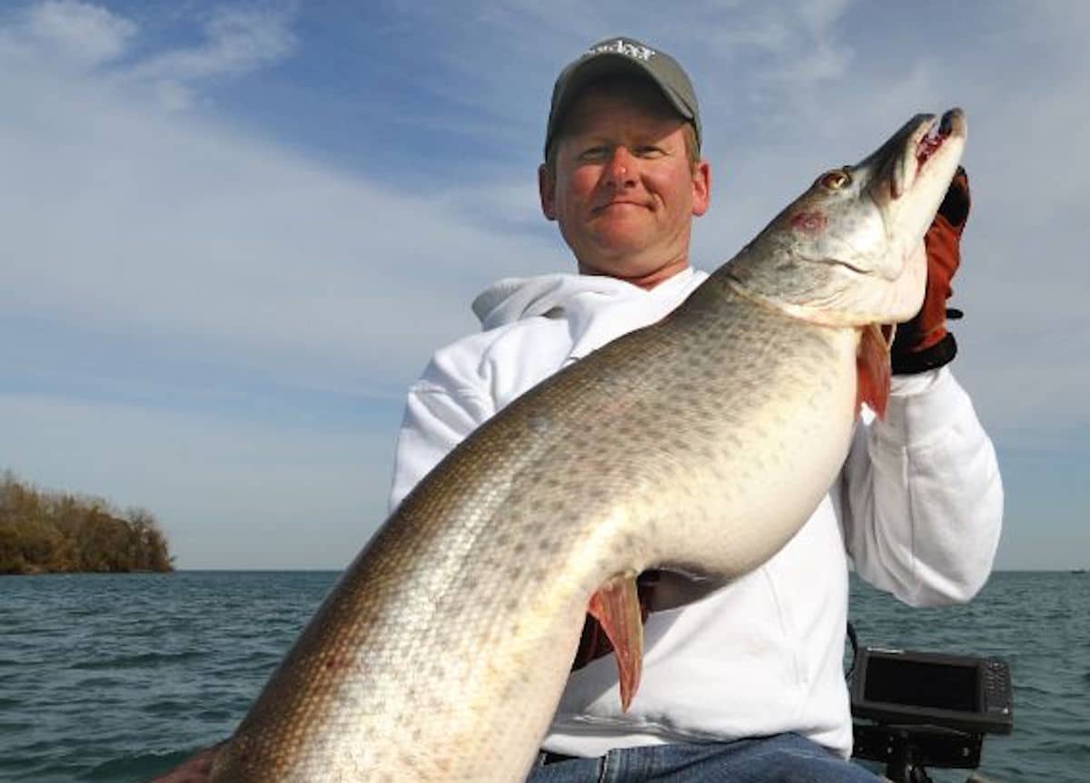 The 3 essential baits every muskie angler needs—and how to fish