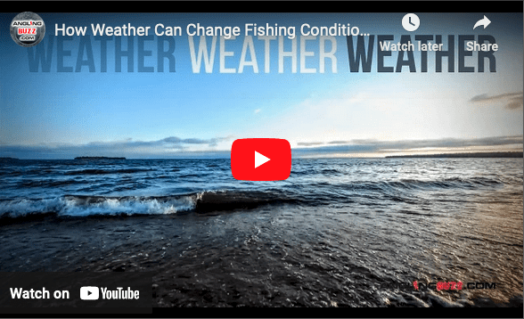How Weather Affects Fishing Conditions AnglingBuzz