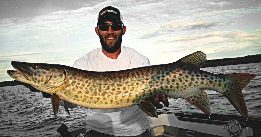 Book Excerpt: How to Catch Muskies in Fall - Orvis News