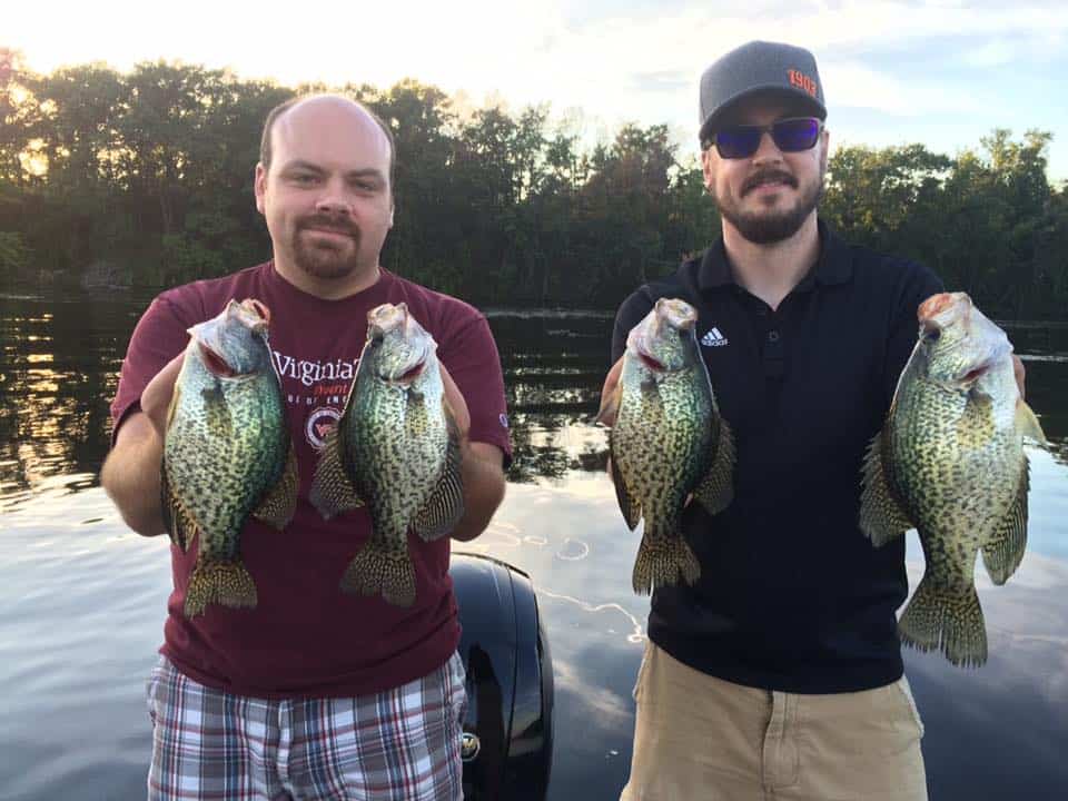 Some Nice River Crappies in Wisconsin