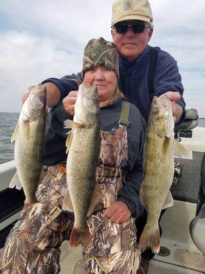 a-limit-of-walleye