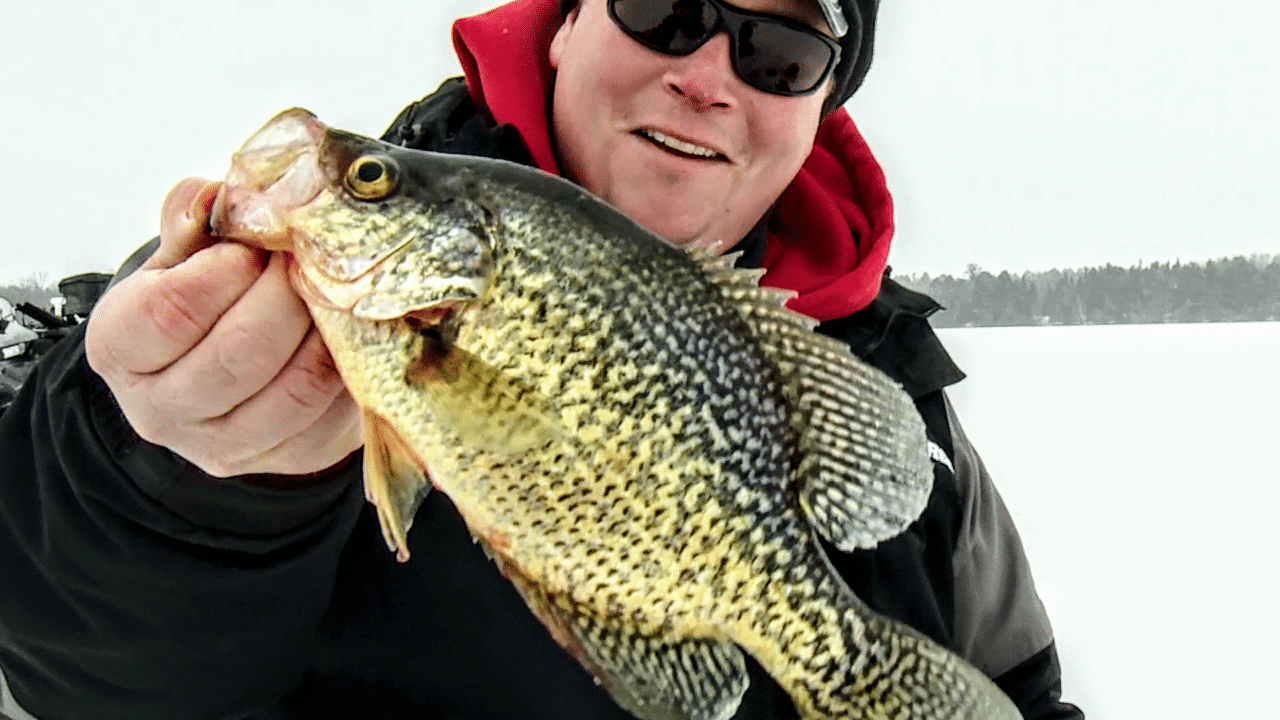Big Baits For Ice Crappies AnglingBuzz