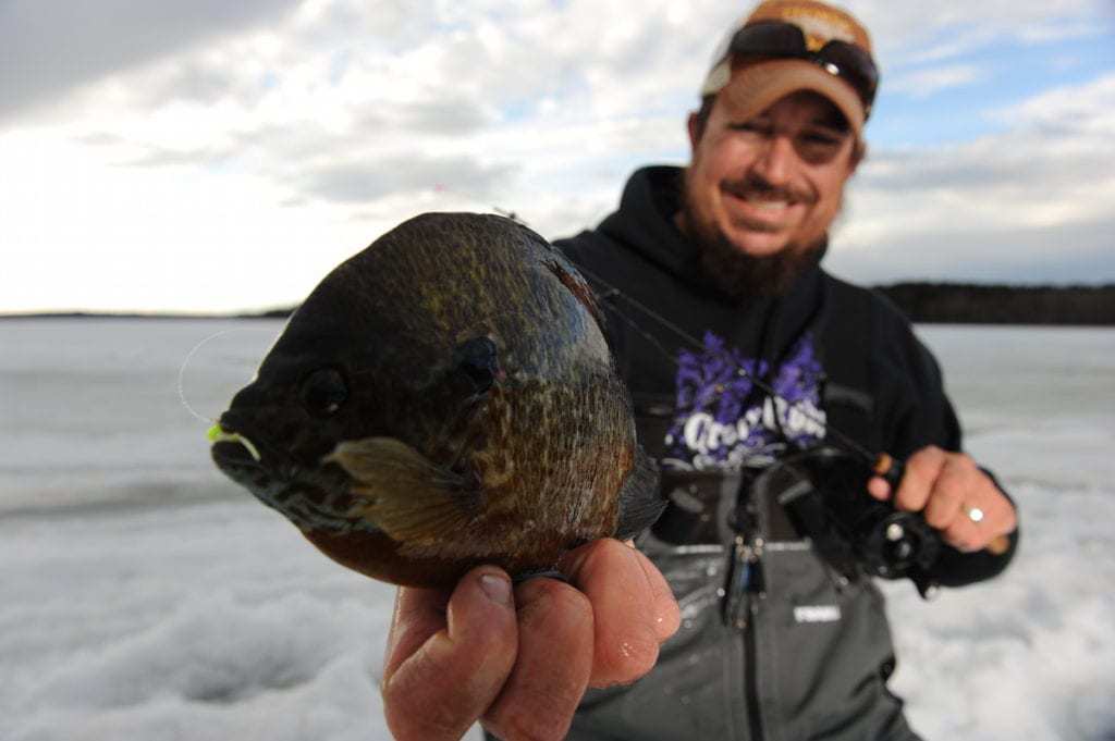 When Panfish Behave Badly - THE NEXT BITE TV