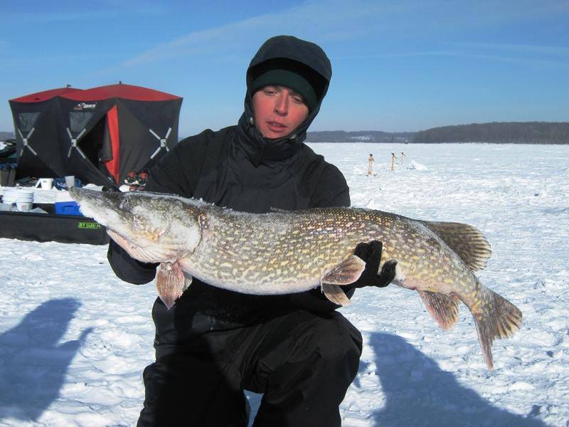 wisconsin-northern-pike