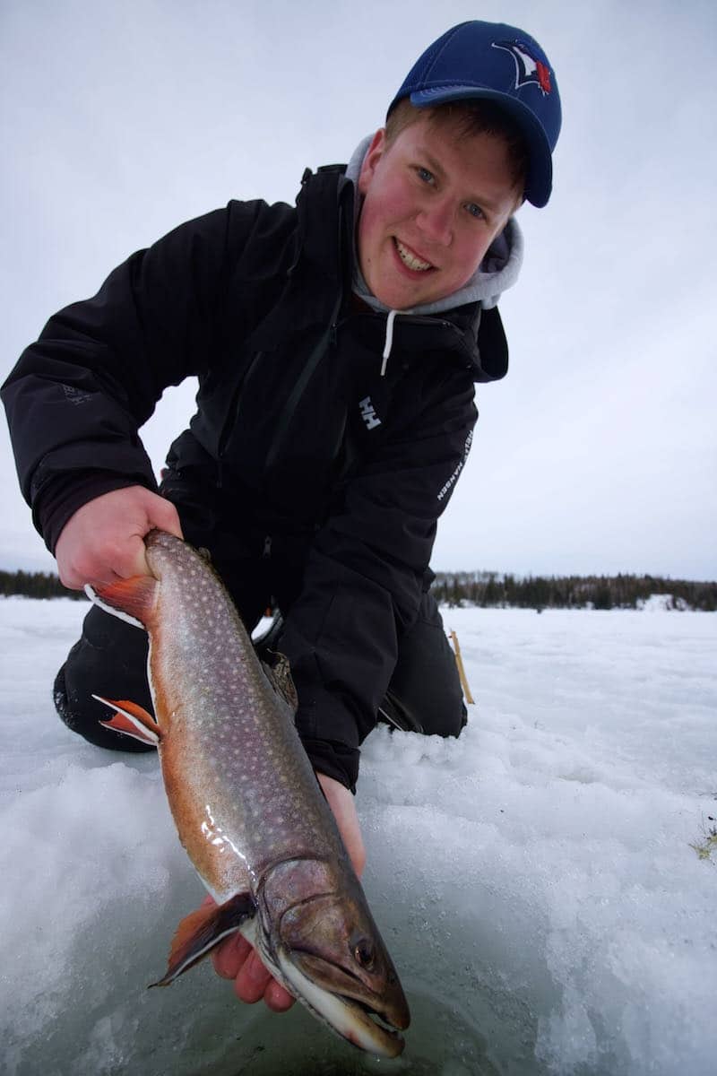 Manitoba trout
