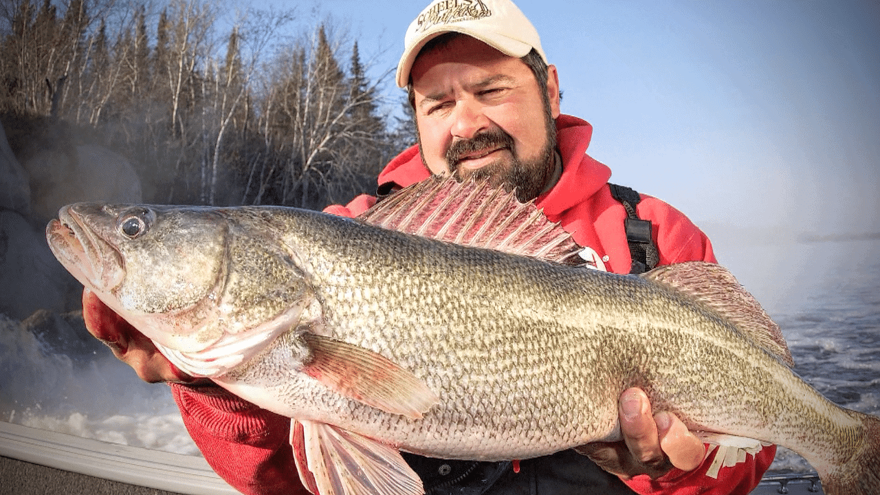 What Does It Take To Become A Walleye Master? AnglingBuzz