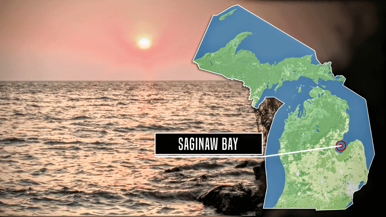 Saginaw Bay MI