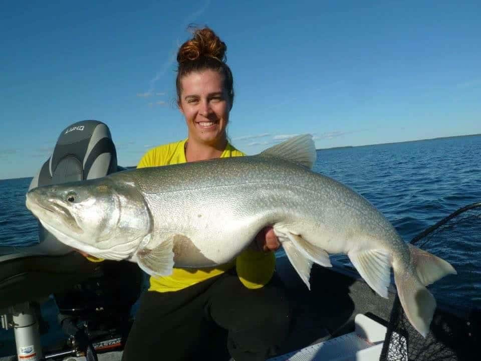 Manitoba Lake Trout