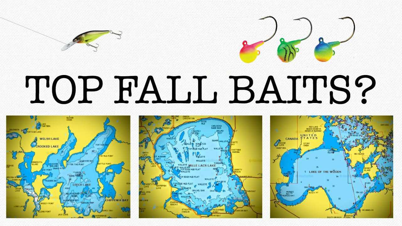Fall Walleye Baits