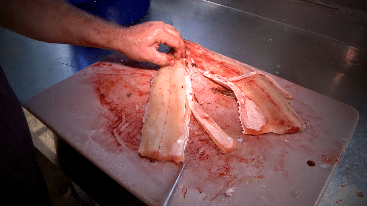Filleting Pike
