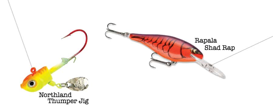 2 Killer Walleye Baits For Fall Fishing AnglingBuzz