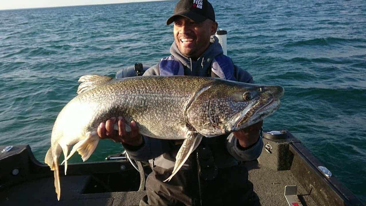 Fishing For Giant Fall Lakers