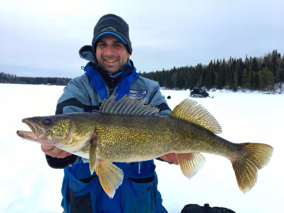 Northern Manitoba Fishing Report - Bryan Bogdan AnglingBuzz