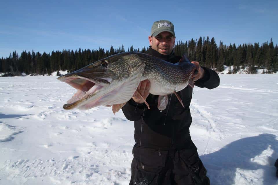 Manitoba Pike