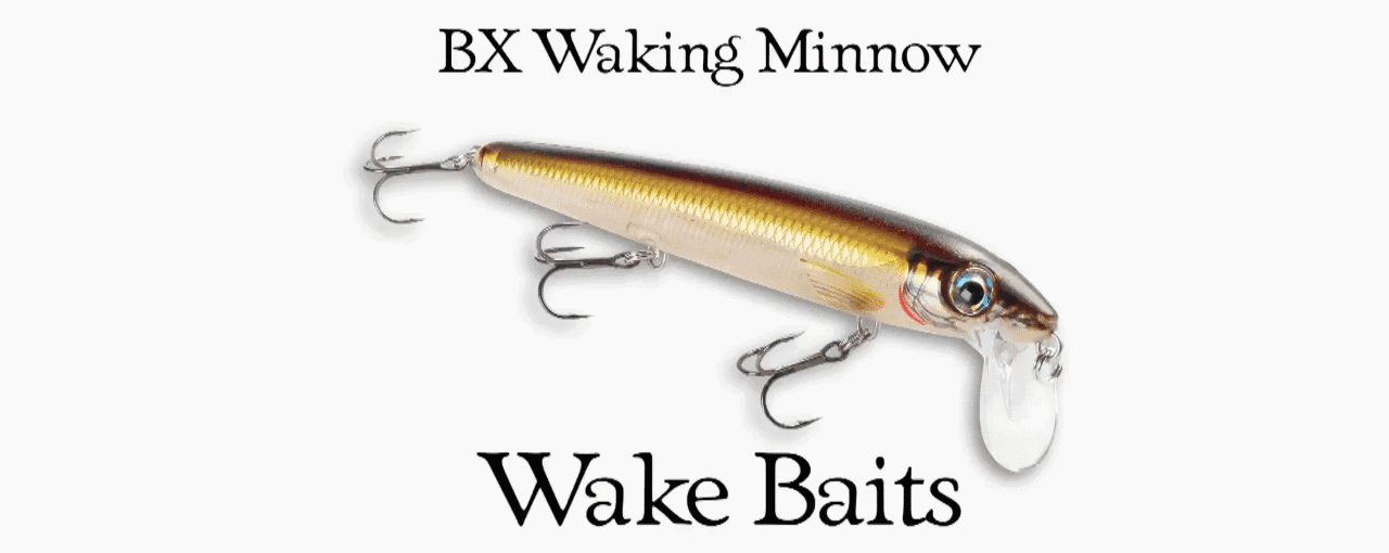 4 Topwater Lures — When They Each Shine AnglingBuzz