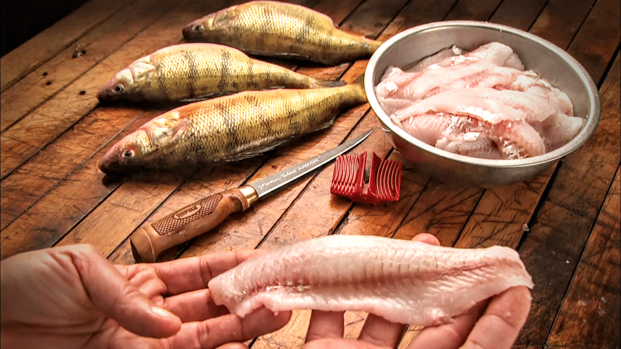 CATCH And COOKING FISH