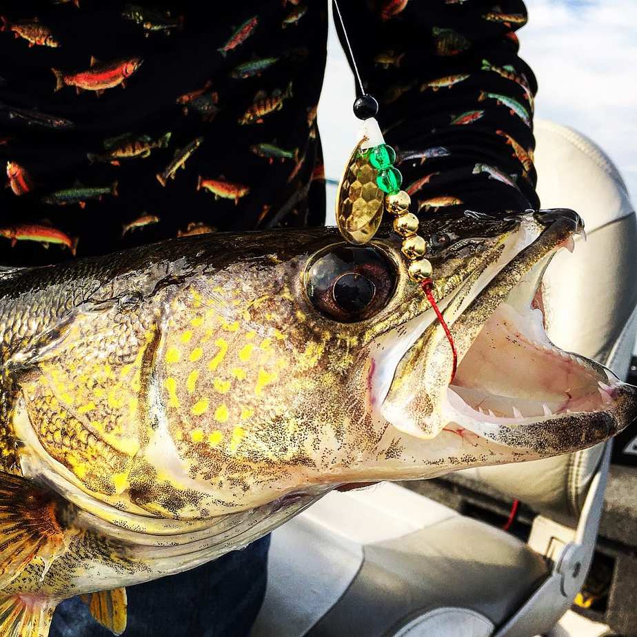 MILLE LACS LAKE (MN) FISHING REPORT
