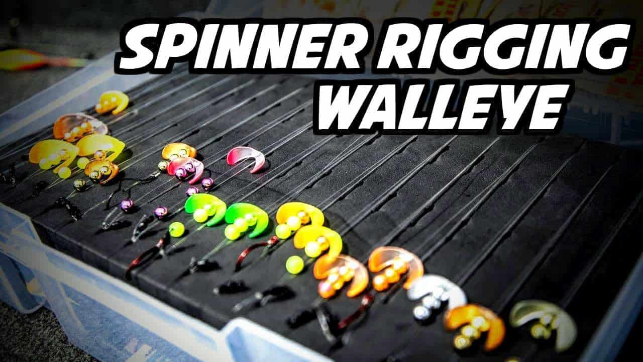 Spinner Rigging Walleye