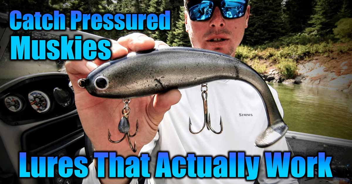 How To Catch Pressured Muskies (Lures That Actually Work) AnglingBuzz