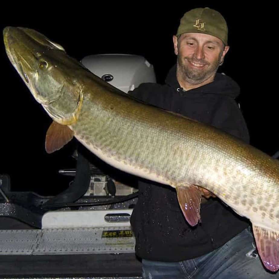 Pretty good size musky we managed to snag from last years fishing