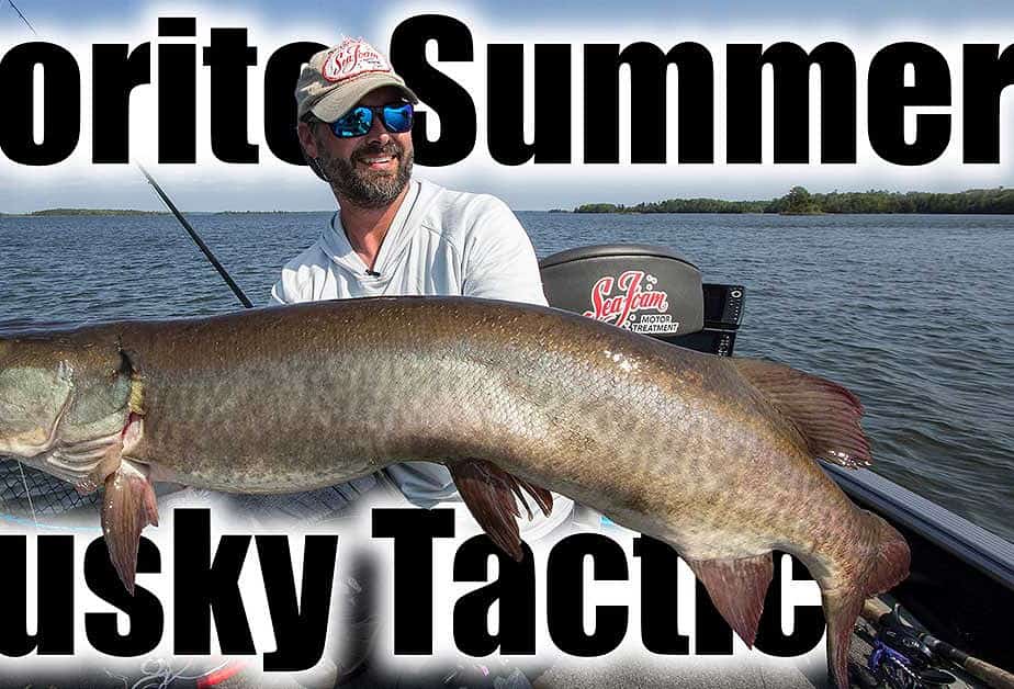 Summer Muskies: Tips And Tricks From The Best In Musky Fishing!