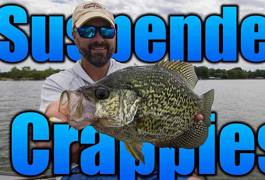 suspended crappies