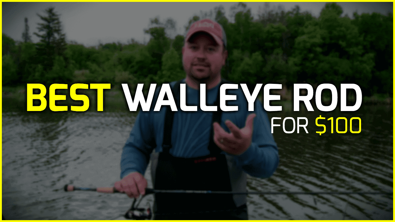 Best Walleye Rod For $100, Walleye Fishing
