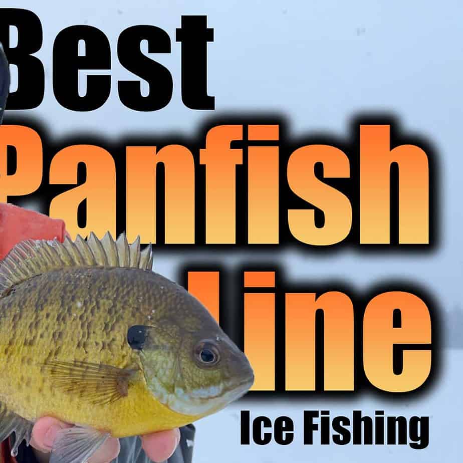 Ice fishing panfish: Inline vs spinning reels – Target Walleye