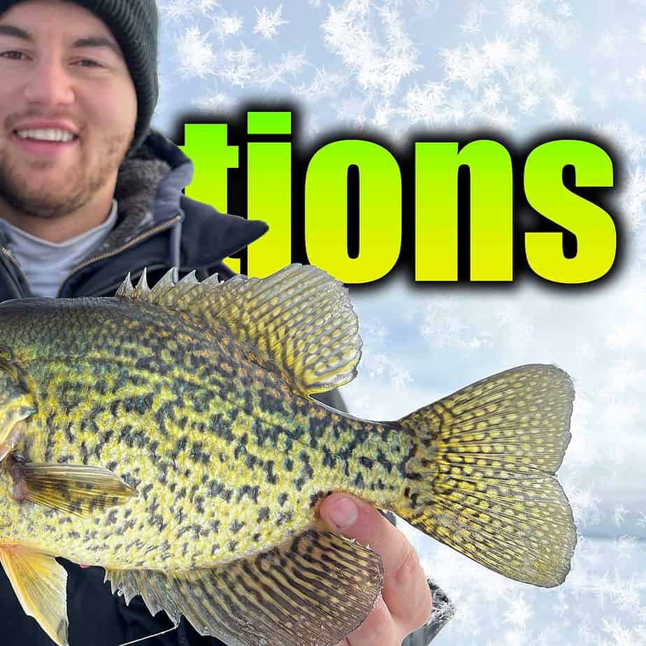 Spring Crappie tips for Rainy Lake in Northern Minnesota - Minnesota  Vacations