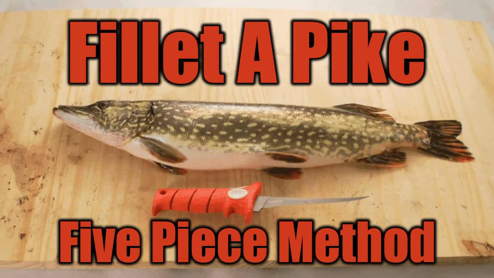 Fillet Pike With NO BONES: Step-by-Step AnglingBuzz