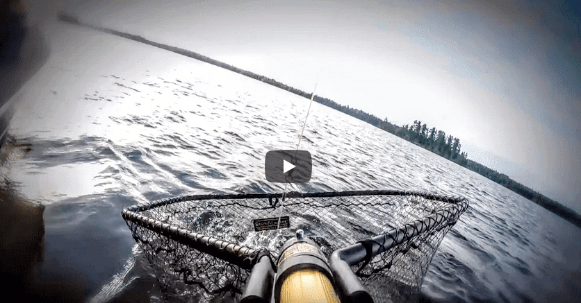 Screen Shot 2020 04 30 at 9.50.54 AM