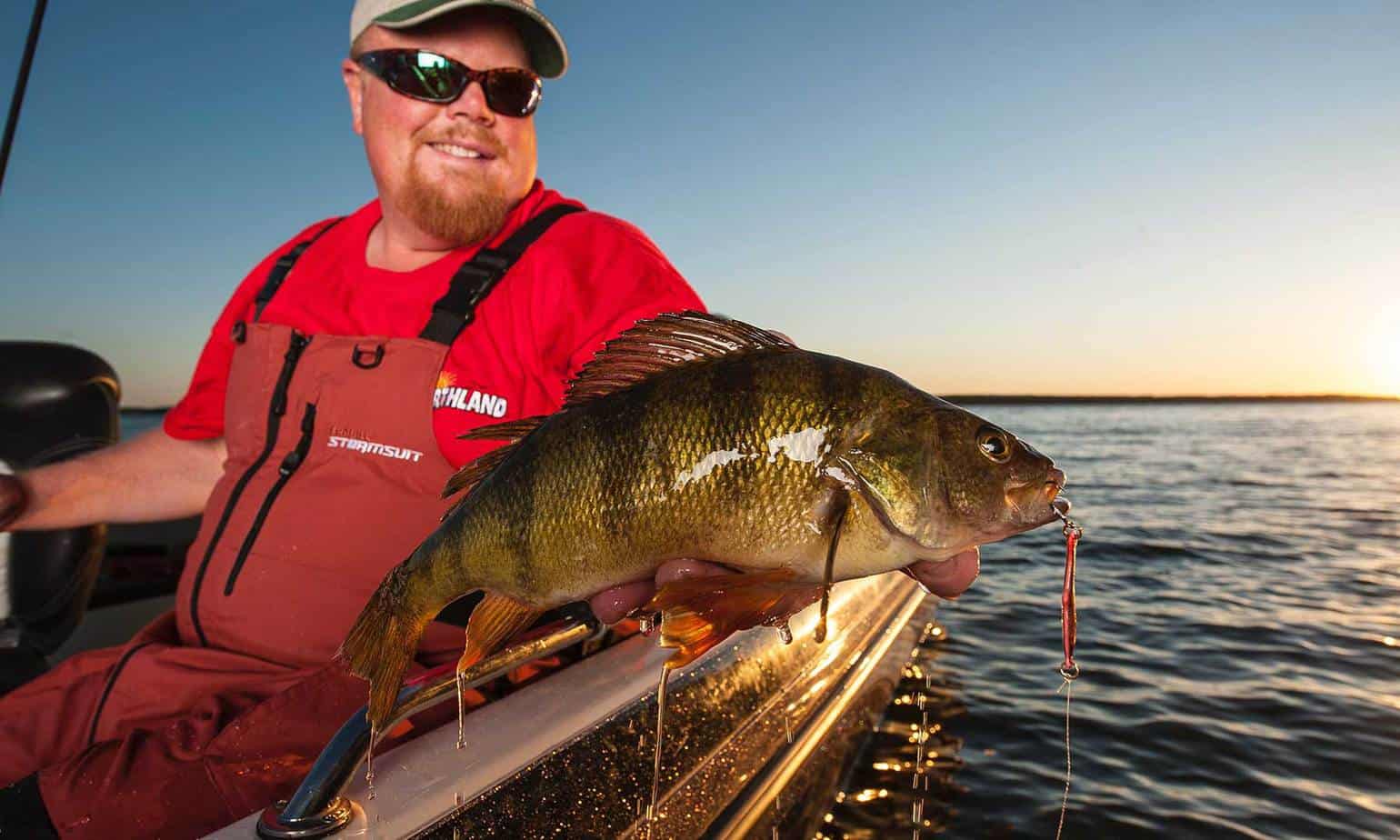 Perch Fishing Rigs: Don't let Bass Anglers Have All the Fun